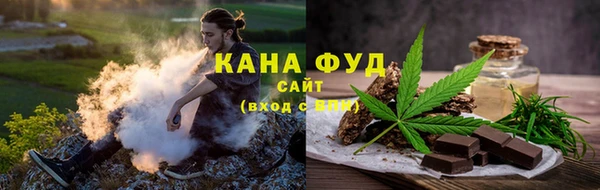 шишки Алексин