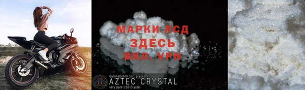 крисы Алзамай