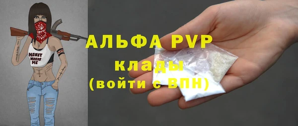 шишки Алексин