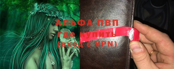 крисы Алзамай