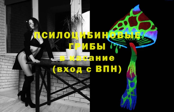 крисы Алзамай