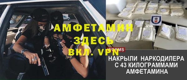 крисы Алзамай